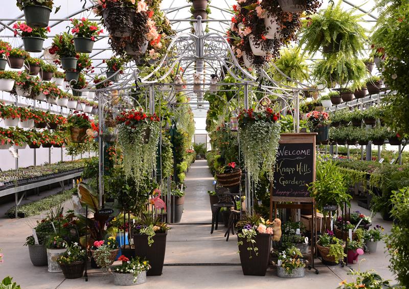 Knapp Hills Gardens Knapp, WI